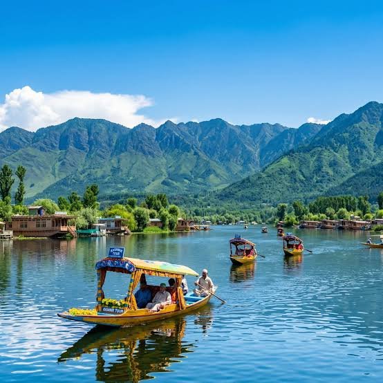Kashmir View